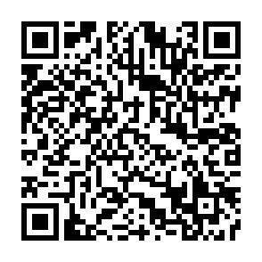 QR-Code - 