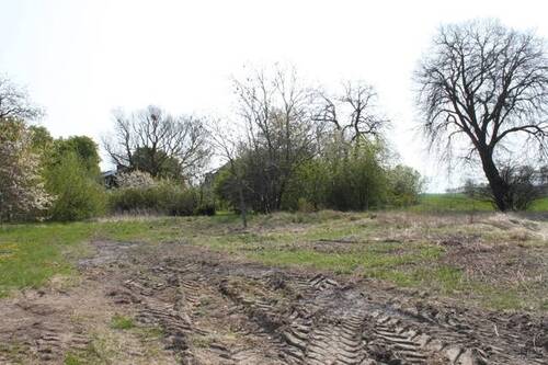 Ansicht - Grundstück zum Kaufen in Garz/Rügen