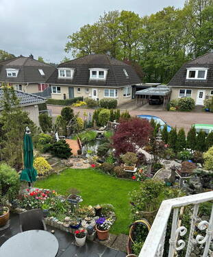 Blick auf den Koi -Teich - 