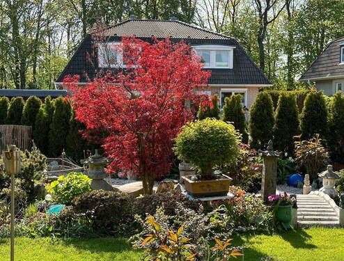 Entspannung im Garten - 