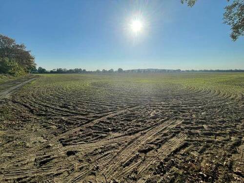 image0 (8) - Grundstück in Altlandsberg zum Kaufen