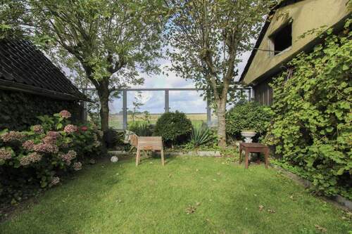 Blick zum Deich nach Westen - 