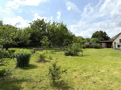 Großer Garten - 