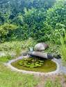 Hintergatren Teich - 
