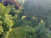 Blick in den Garten - 
