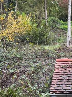 00101 - Am Rand des Pfälzer Waldes - Rheinebene vor sich - Auf den Spuren von Max Slevogt - 1 B Lage