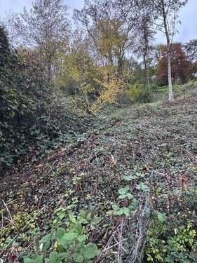 00111 - Grundstück in Leinsweiler zum Kaufen