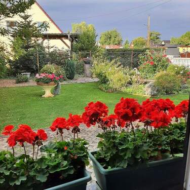 Blick aus Schlafzimmer - 