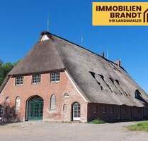 Ein Traum unter Reetdach – kernsaniertes, exklusives Landhaus in Elbnähe - Wischhafen Neulandermoor