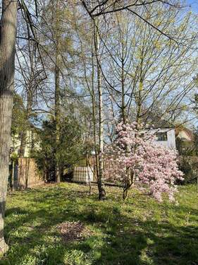 Grundstück Frühjahr - 