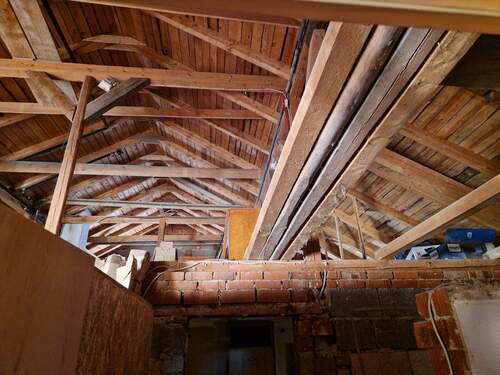 DG mit Potential-2 - 