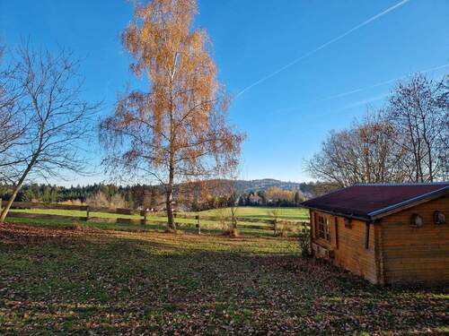 Blick in den Garten-2 - 