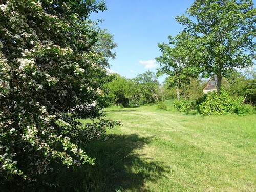 Blick in den Garten - Einfamilienhaus in Wettin-Löbejün OT Mücheln