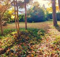 TOP LAGE IM BESTANDSWOHNGEBIET TRAUMHAFTEN GARTEN MIT SÜDAUSRICHTUNG IN SCHESSLITZ - Scheßlitz