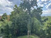 Blick v. Balkon - 2 Zimmer Etagenwohnung zur Miete in Roth
