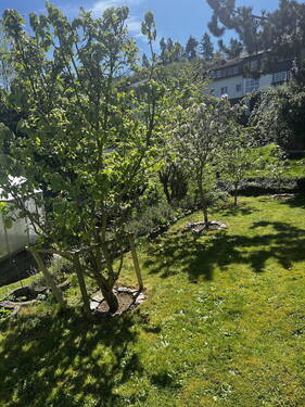 Bild 6 - 