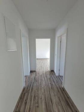 Einblick Flur - 3 Zimmer Etagenwohnung zur Miete in Stralsund
