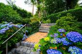 Gartenanlage - 