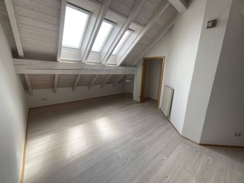 Zimmer DG - 