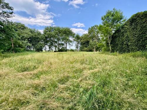 Weide - 