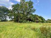 Weide - 