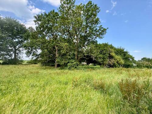 Weide - 