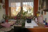 Diele_EG - 5 Zimmer Mehrfamilienhaus, Wohnhaus zum Kaufen in Ilmenau