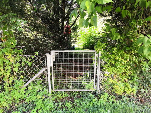 Zugang zum Garten (hinten) - 