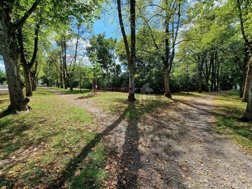 Grünfläche gegenüber vom Objekt - 