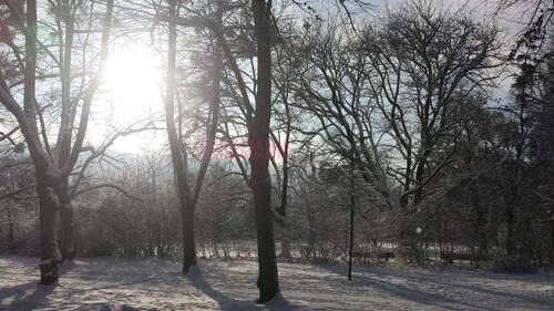 Grünanlage gegenüber vom Objekt im Winter - 