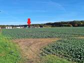 Weitblick über Feld - Waldnah und Weitblick - Neuwertiges Einfamilienhaus in Greifswald