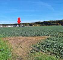 Waldnah und Weitblick - Neuwertiges Einfamilienhaus in Greifswald