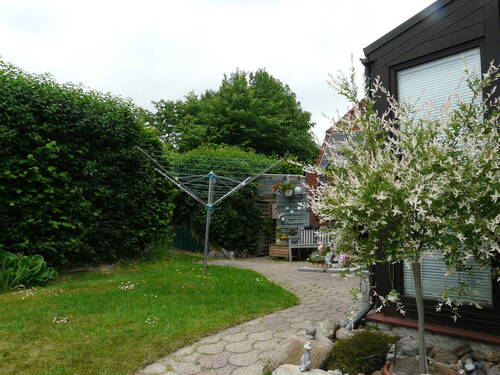 Bild 5 - 