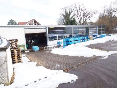 Freifläche - Halle in Illertissen zur Miete