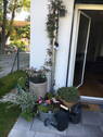 Terrasse und Türe - 