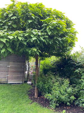 Garten - 