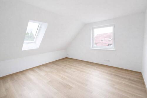 Zimmer1 DG - 