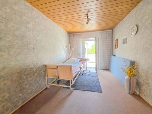 Zimmer DG Links - 