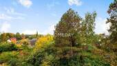 Ausblick - 