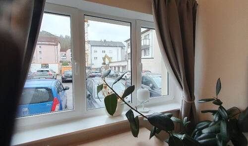 Ausblick zum Parkplatz - 