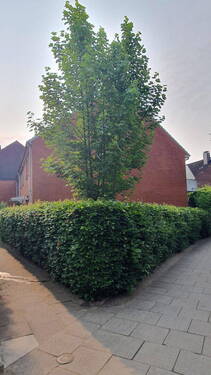 Stirnseite mit Garten - 6 Zimmer Reihenendhaus in Hamburg