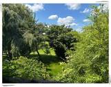 Aussicht in Garten - 7 Zimmer Einfamilienhaus in Königsdorf