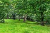 Ein kleiner Wald direkt am Haus - 
