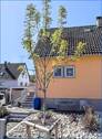 Garten vor dem Huas - 5 Zimmer Einfamilienhaus zum Kaufen in Moos