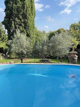 Ausblick in den Garten! - 