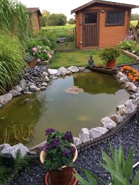 Blick in den Garten - 