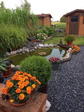 Photo von der Terasse in den Garten - 