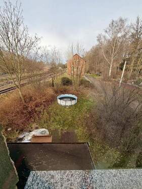 Blick in den Garten - 