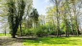 DSC_8715.jpg - 