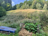 Bild 13 - 